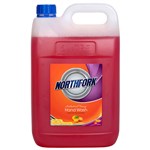 Northfork Foaming Hand Wash Antibacterial Orange 5L CTN3
