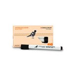 Bibbulmun Whiteboard Marker Bullet Point Pack 10 Black